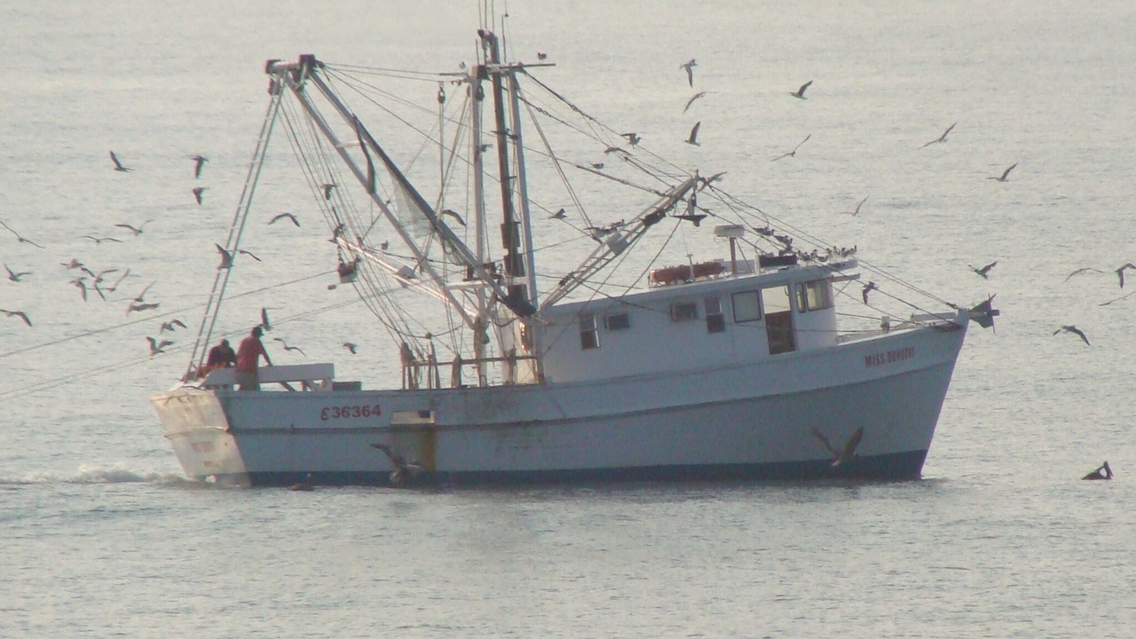 Photo of Others in North Carolina Coast
