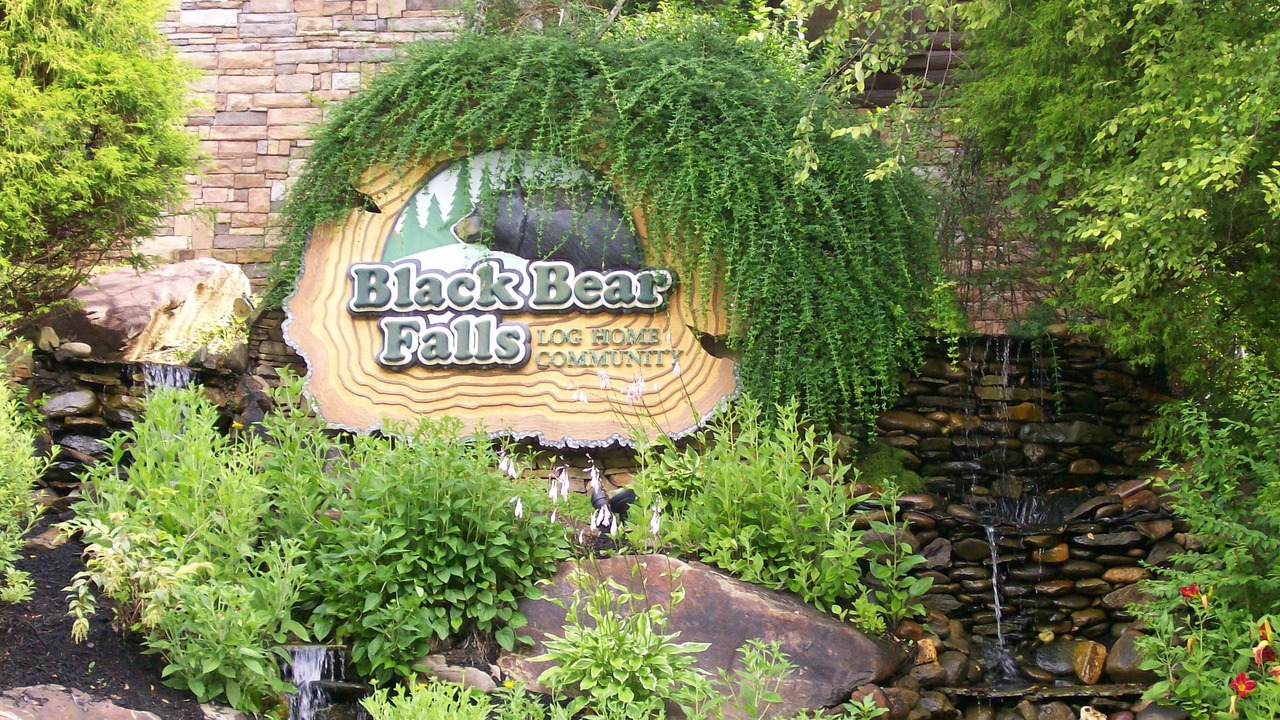 Photo of Others in Black Bear Falls
