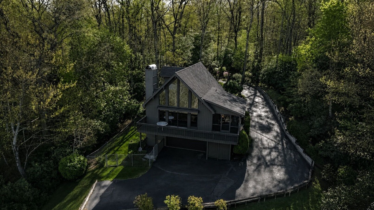 Photo of Outdoor in Pisgah Forest