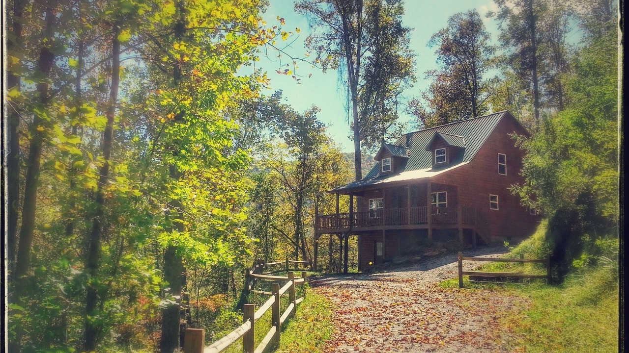 Photo of Outdoor in Sylva