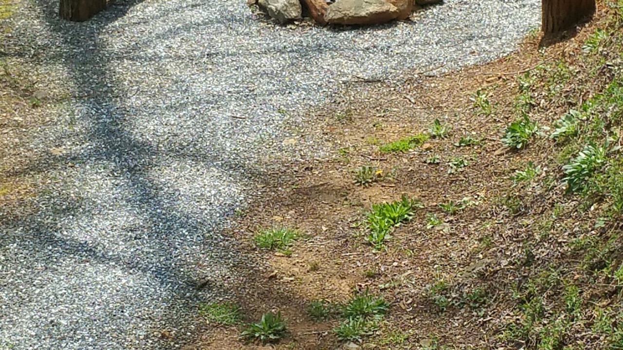 Photo of Outdoor in Sylva