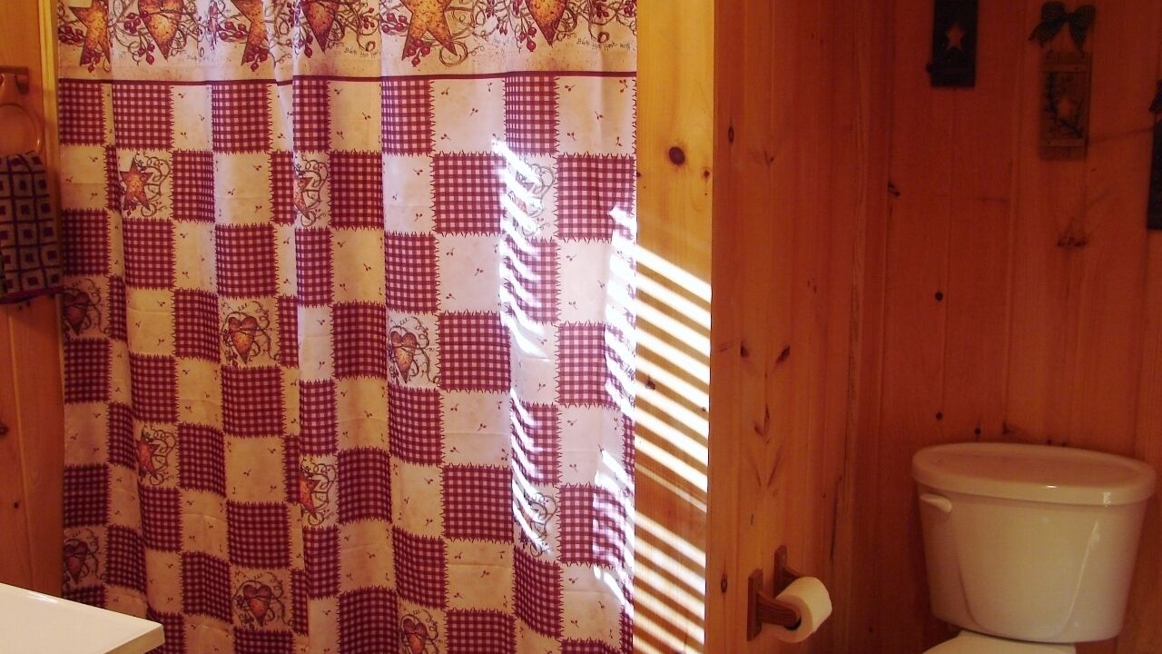 Photo of Bathroom in Sylva