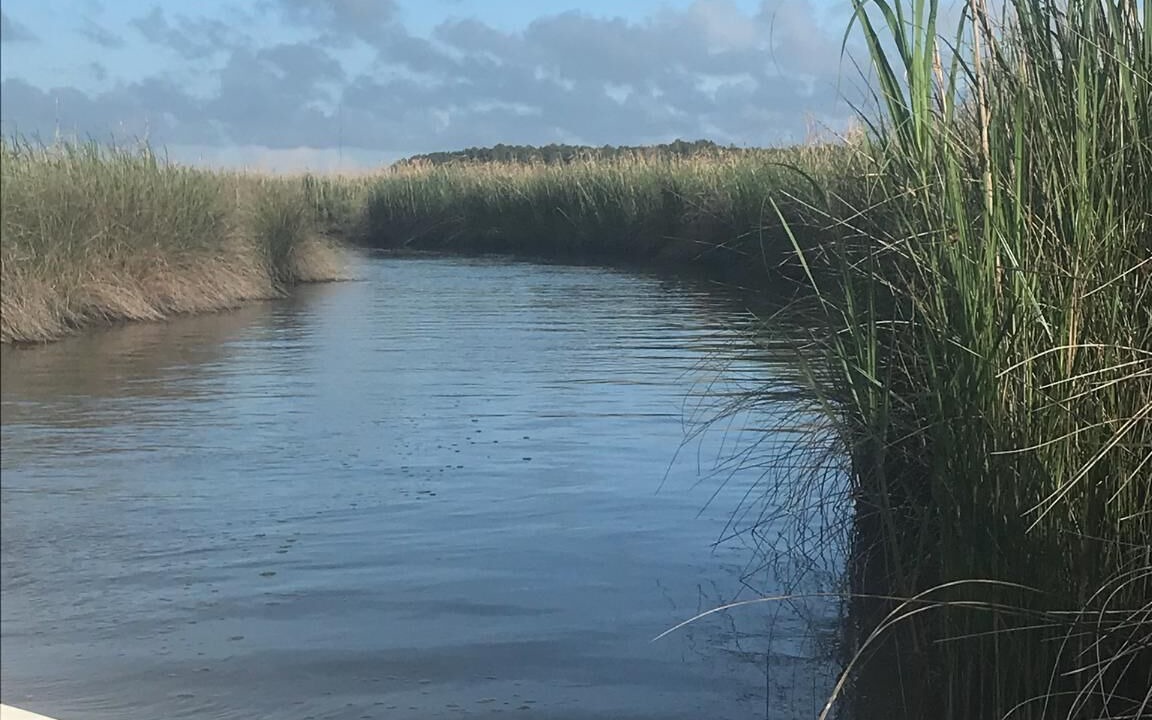 Photo of Others in South River