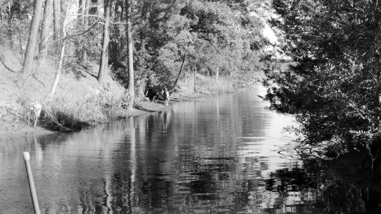 Photo of Others in South River