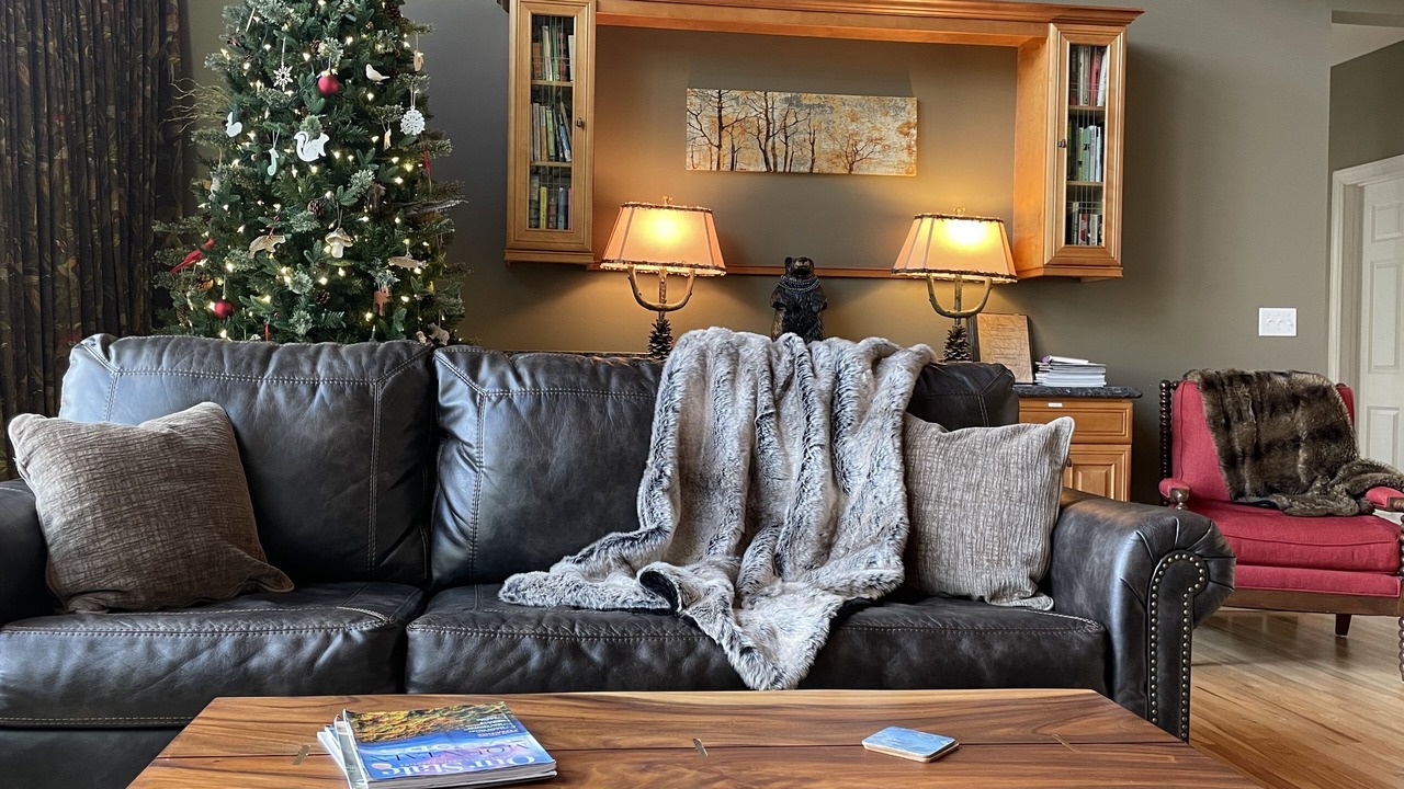 Photo of Livingroom in Brevard
