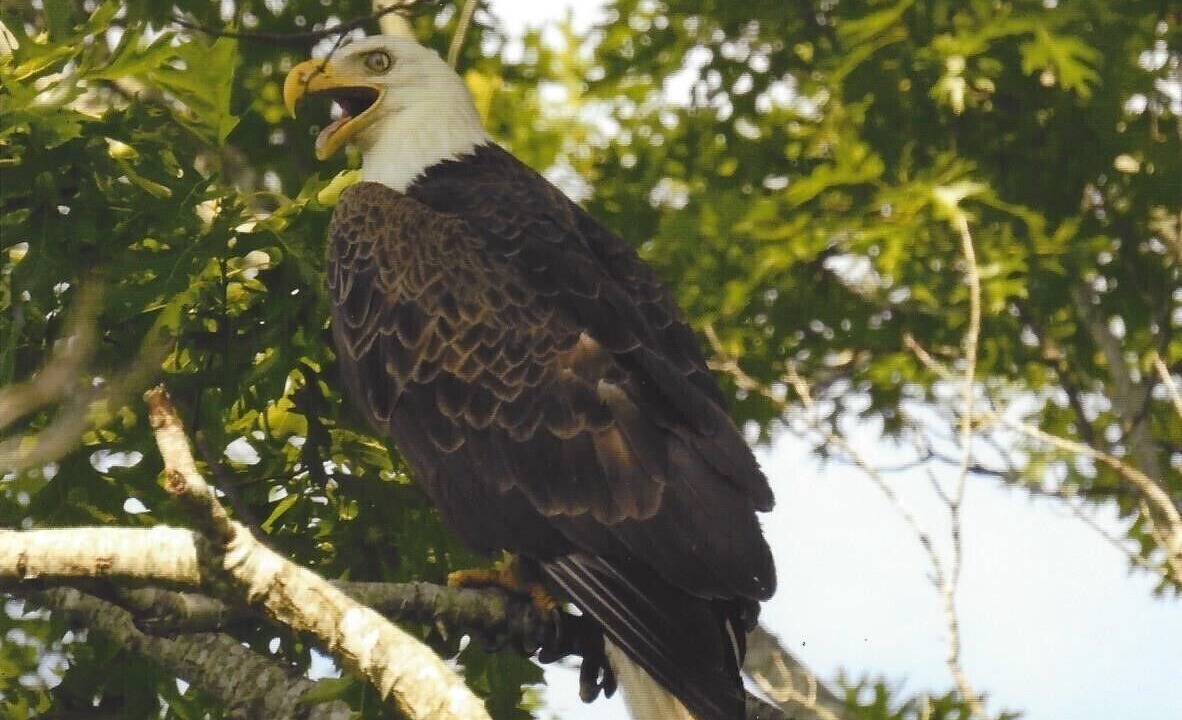 Photo of Others in Hardin