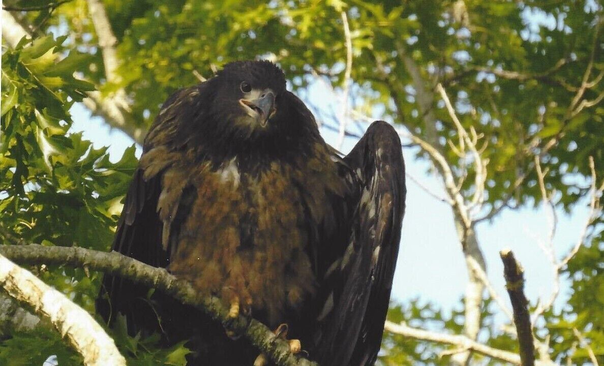 Photo of Others in Hardin