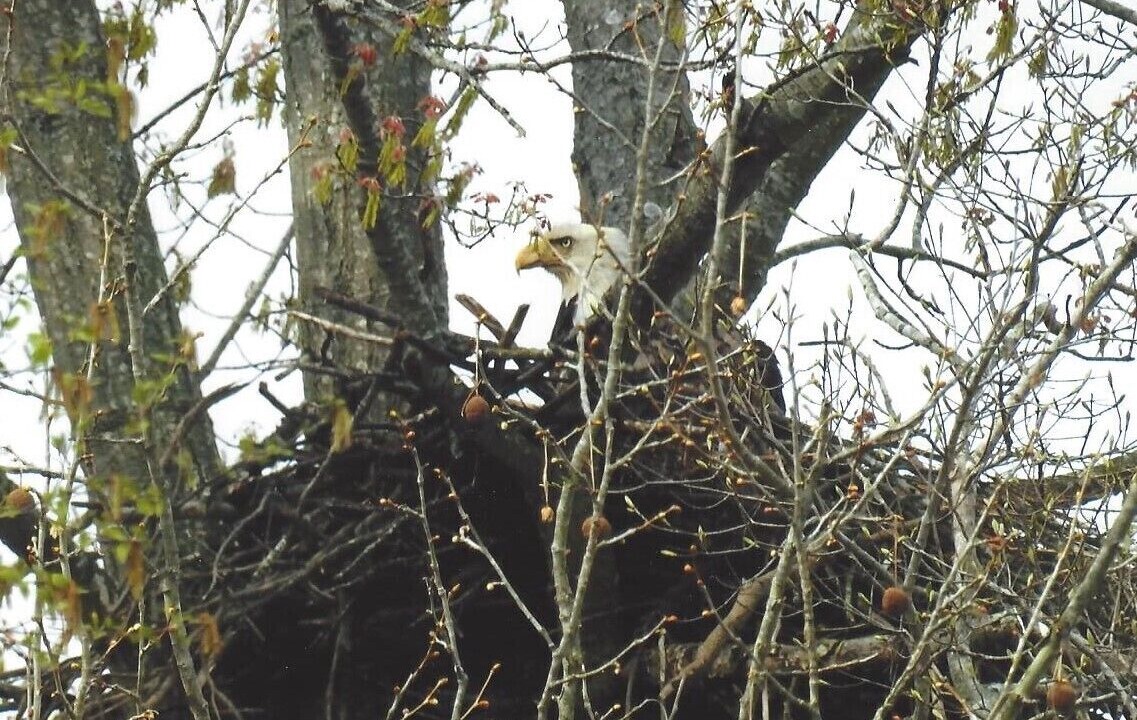 Photo of Others in Hardin