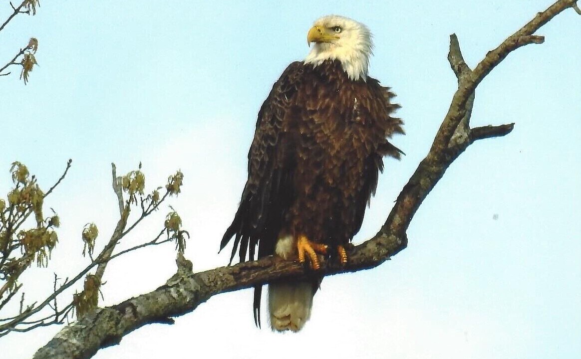 Photo of Others in Hardin