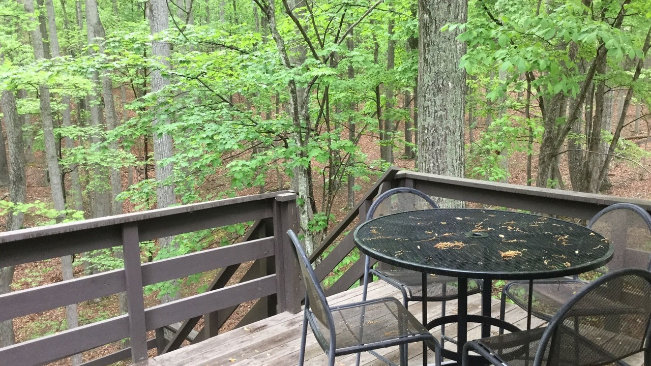 Photo of Outdoor in Blacksburg