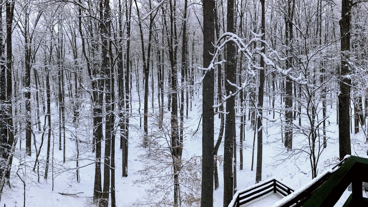 Photo of Others in Blacksburg