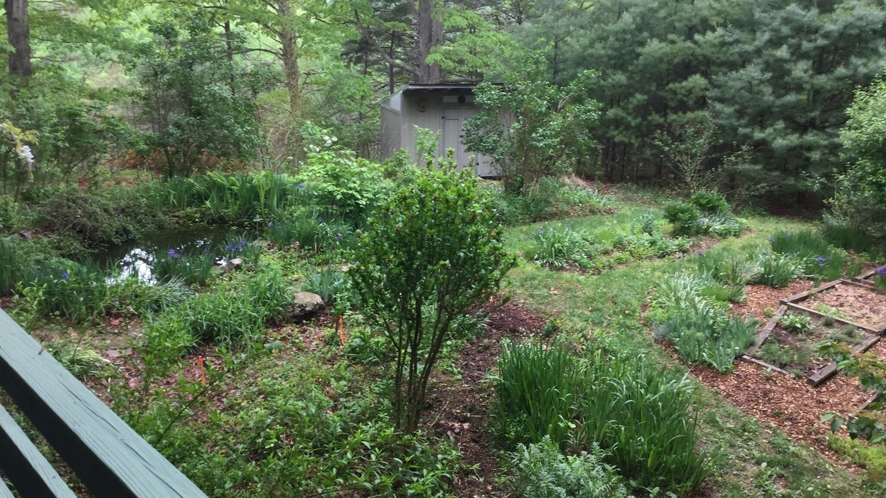 Photo of Outdoor in Blacksburg