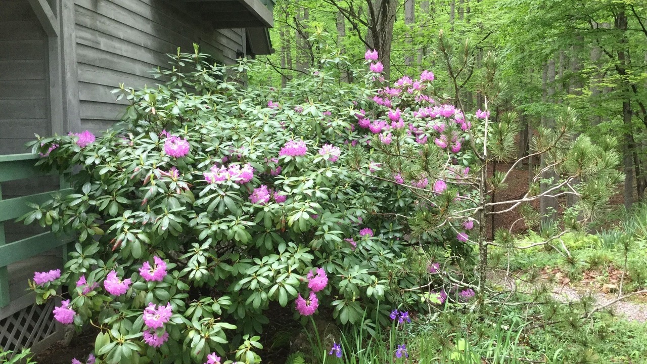 Photo of Outdoor in Blacksburg