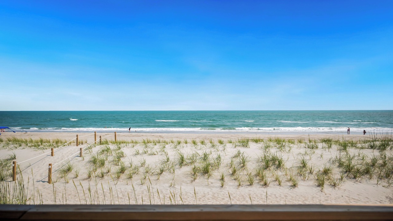 Photo of Outdoor in Oak Island