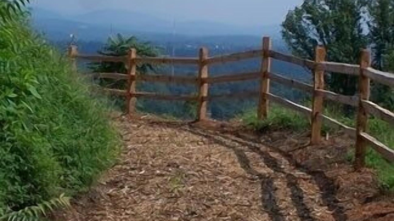 Photo of Outdoor in Asheville