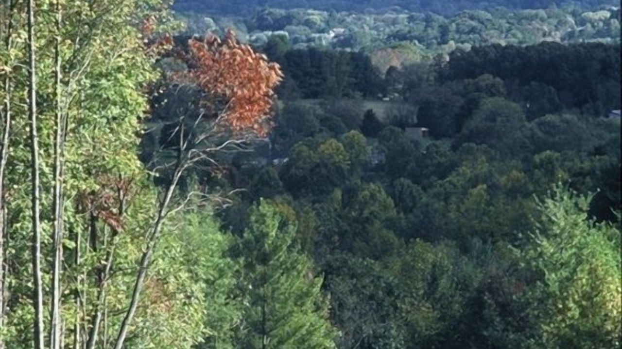 Photo of Others in Asheville