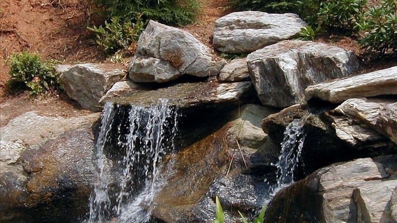 Photo of Others in Asheville