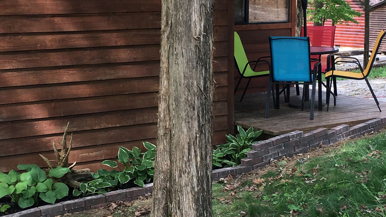Photo of Others in Byrdstown
