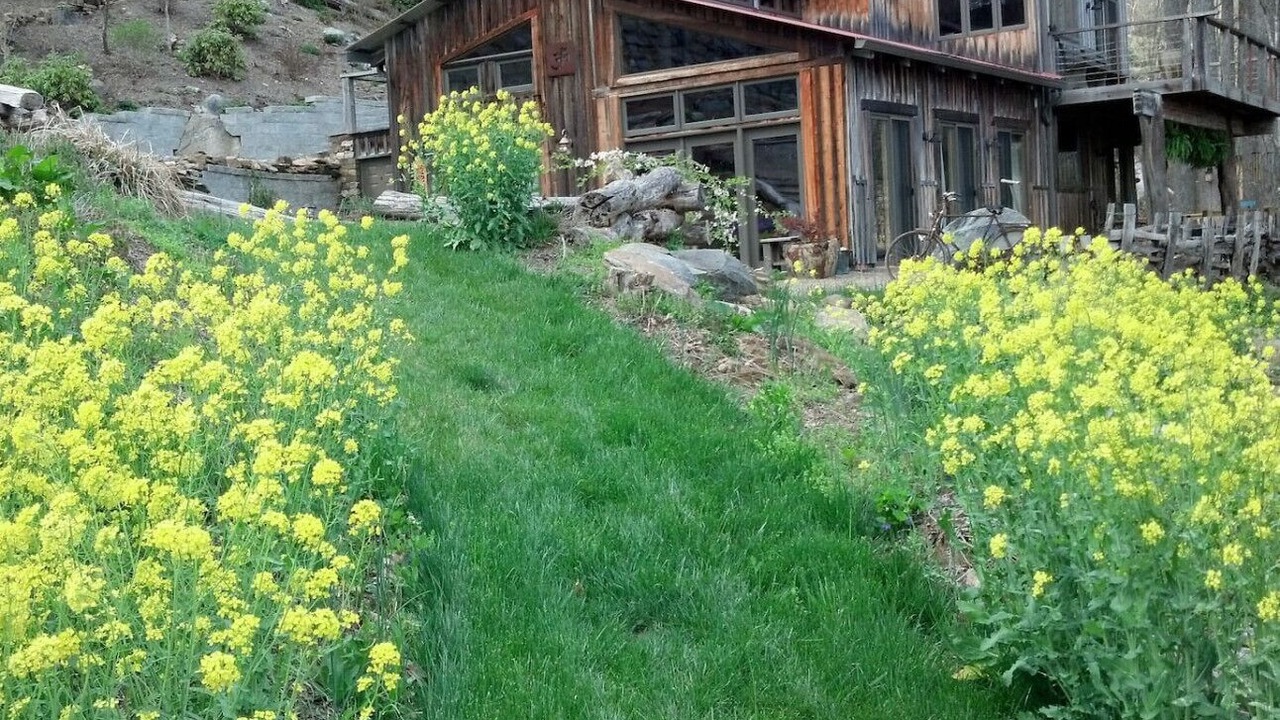 Photo of Outdoor in Asheville