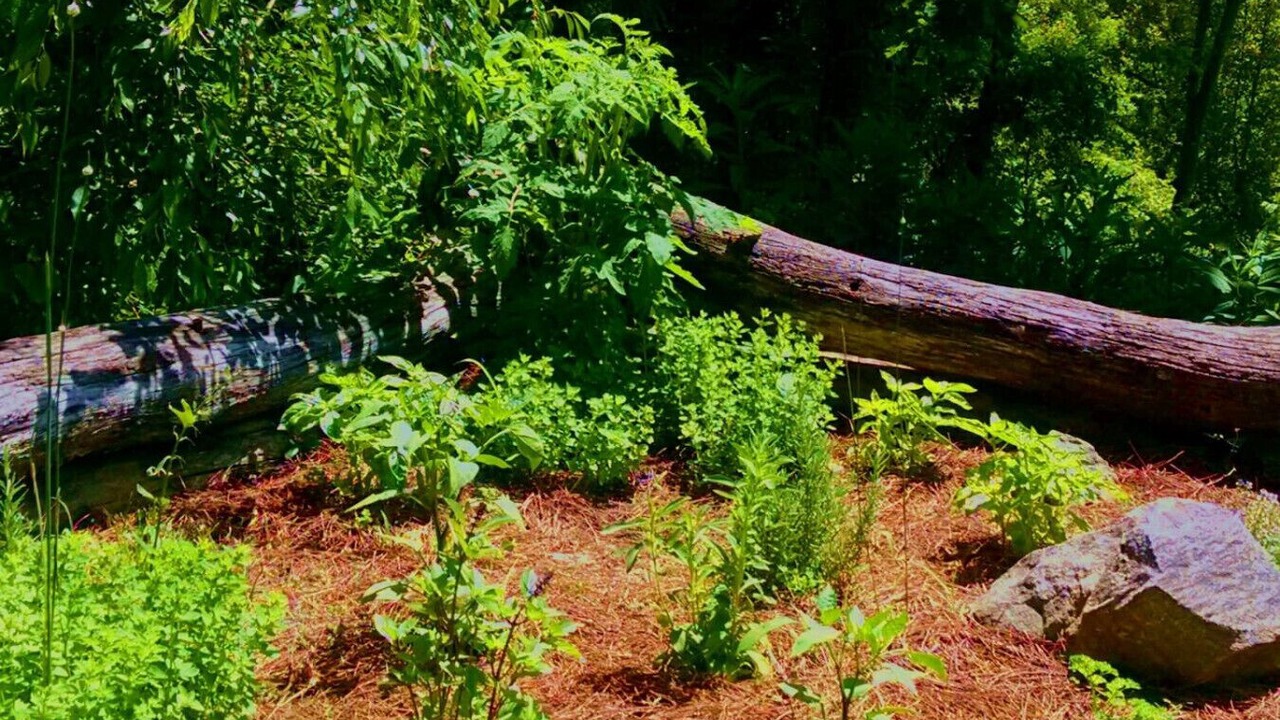 Photo of Outdoor in Asheville