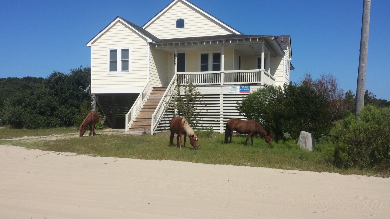 Photo of Others in Corolla
