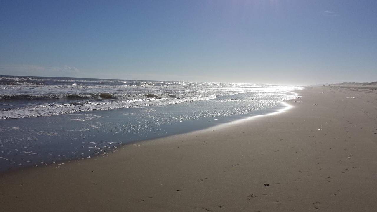 Photo of Others in Corolla