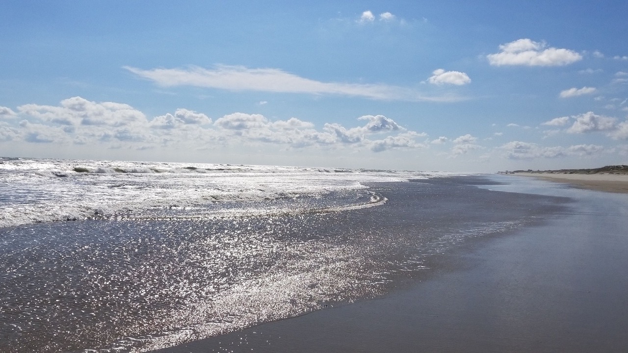 Photo of Others in Corolla