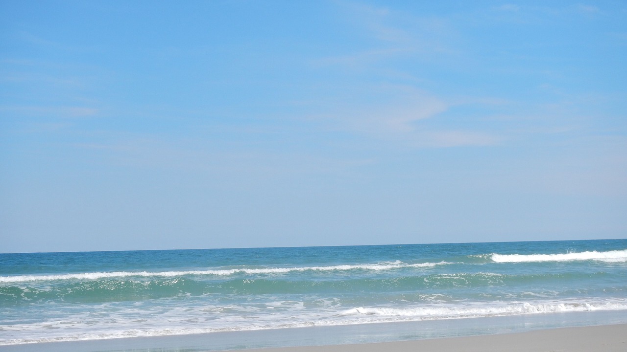 Photo of Others in Corolla