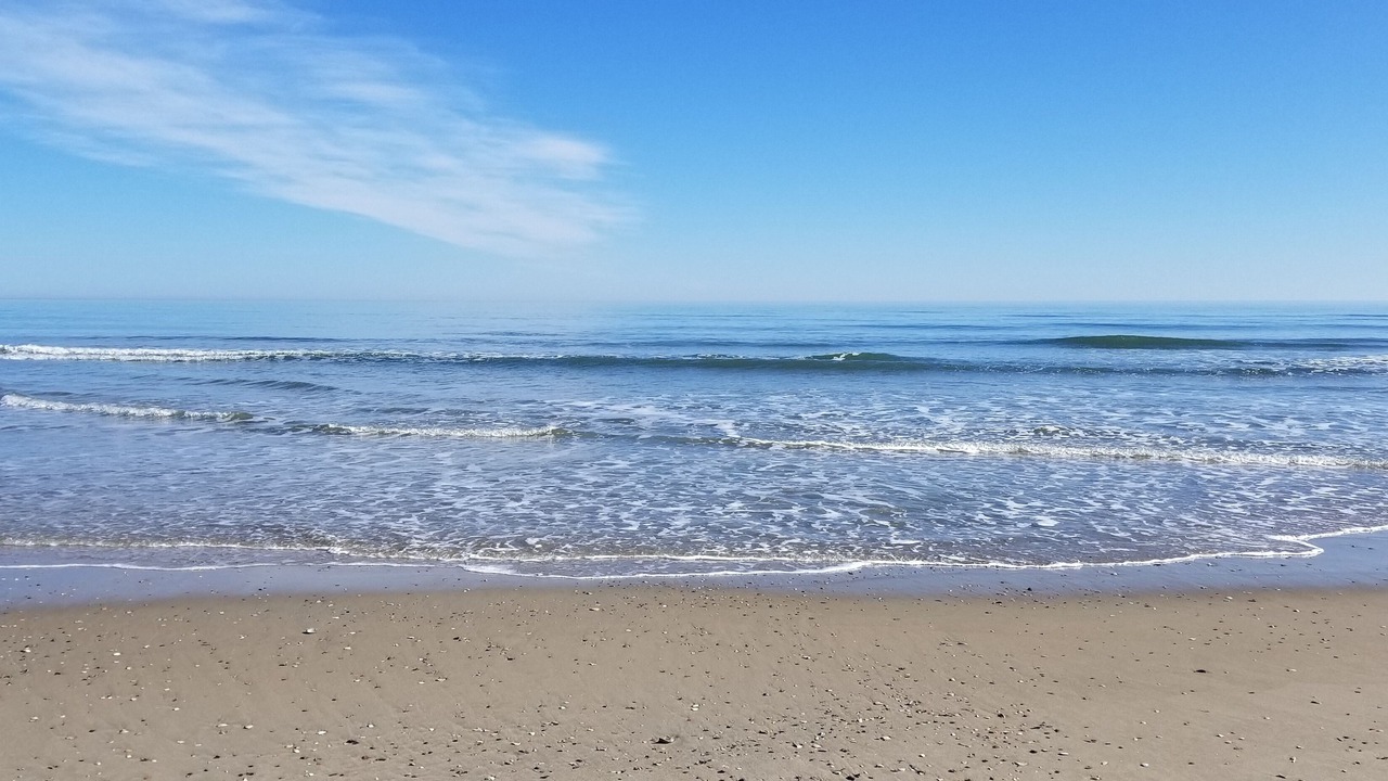 Photo of Others in Corolla