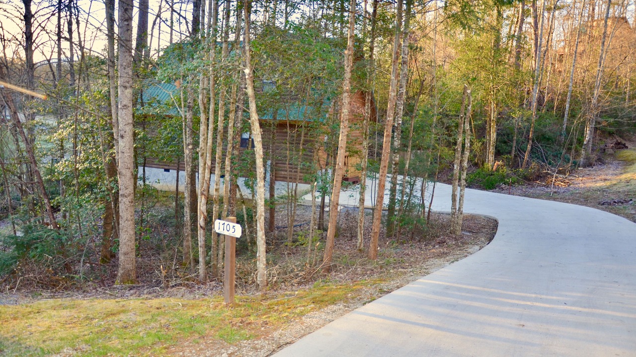 Photo of Others in Gatlinburg