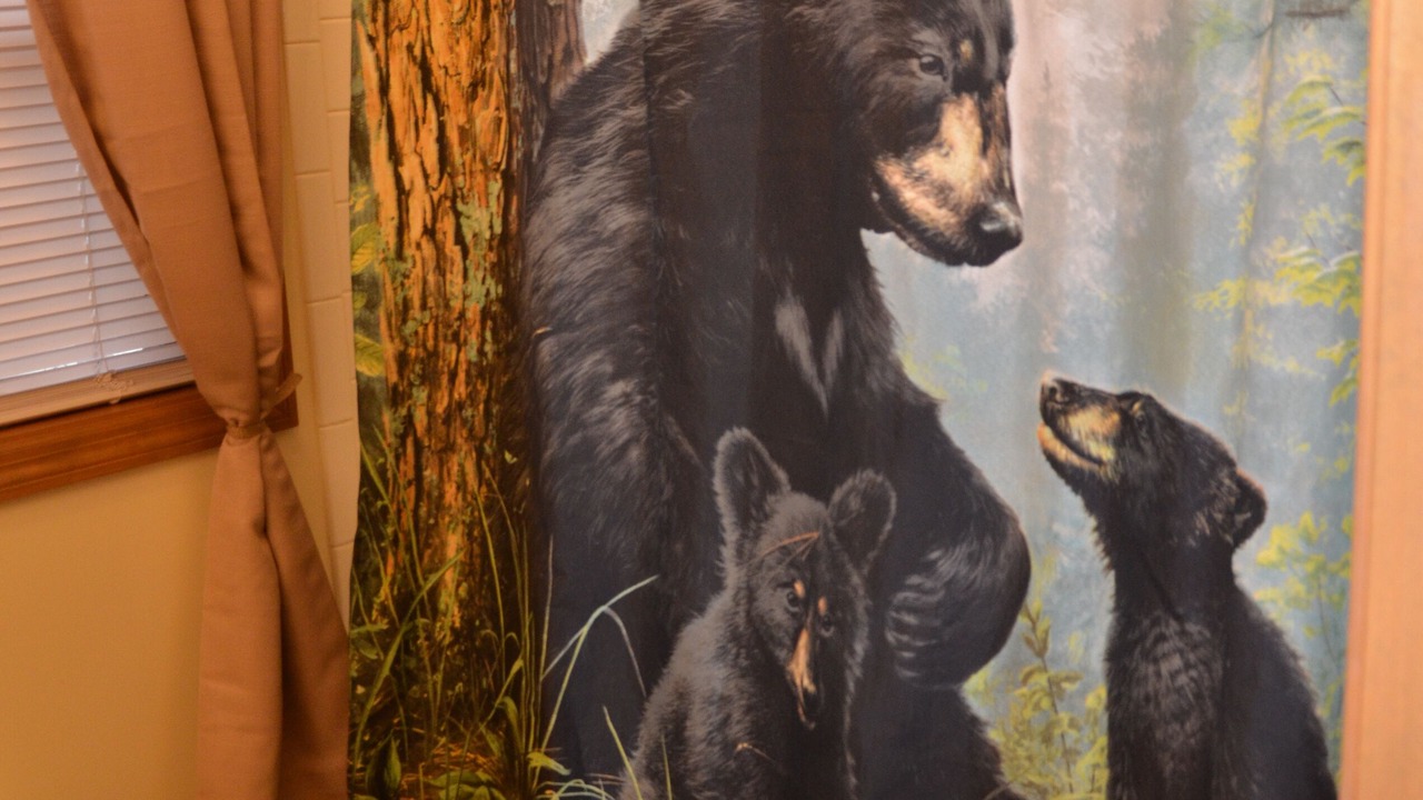 Photo of Bathroom in Gatlinburg