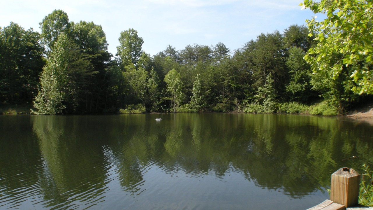 Photo of Others in Monticello