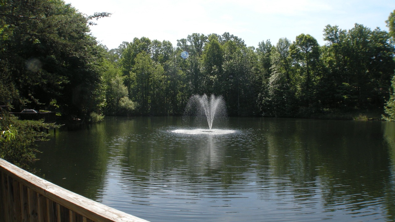 Photo of Others in Monticello