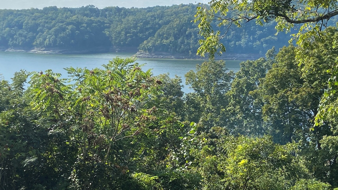 Photo of Others in Bronston