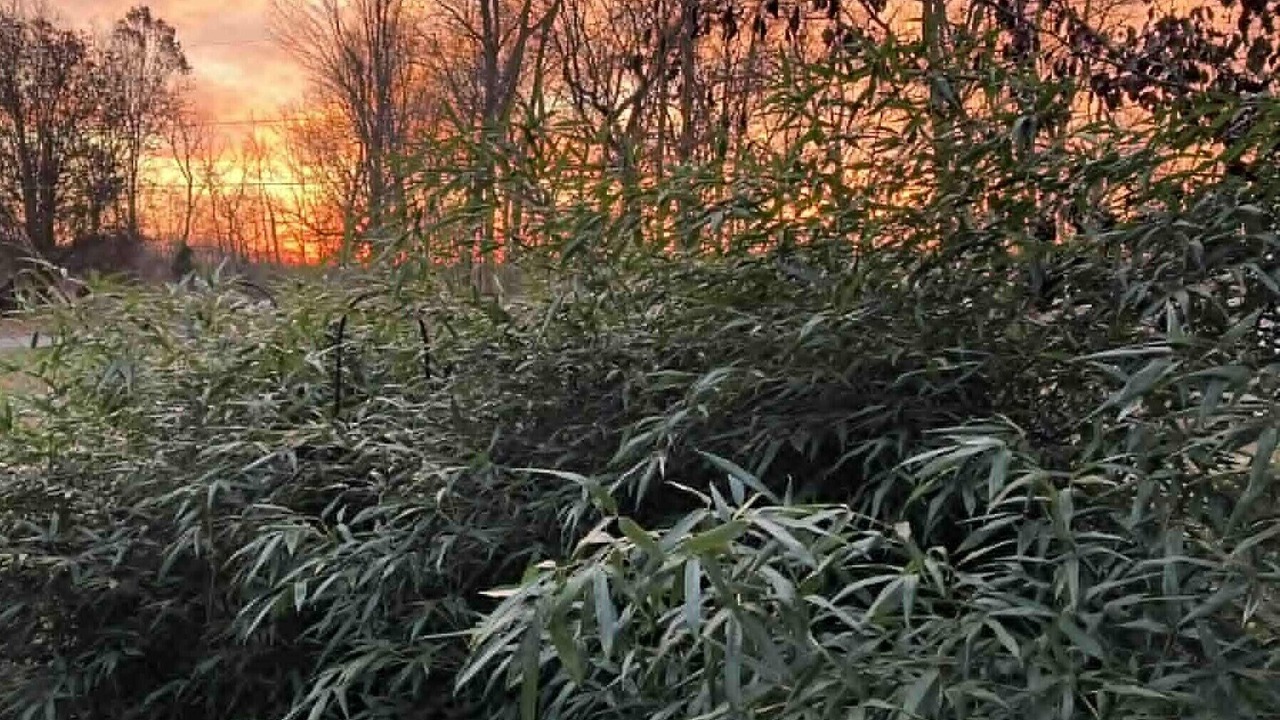 Photo of Outdoor in Leitchfield