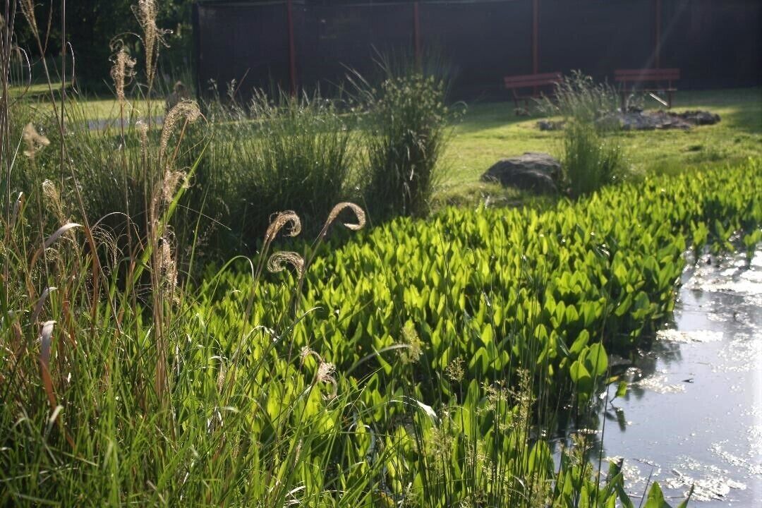 Photo of Outdoor in Leitchfield