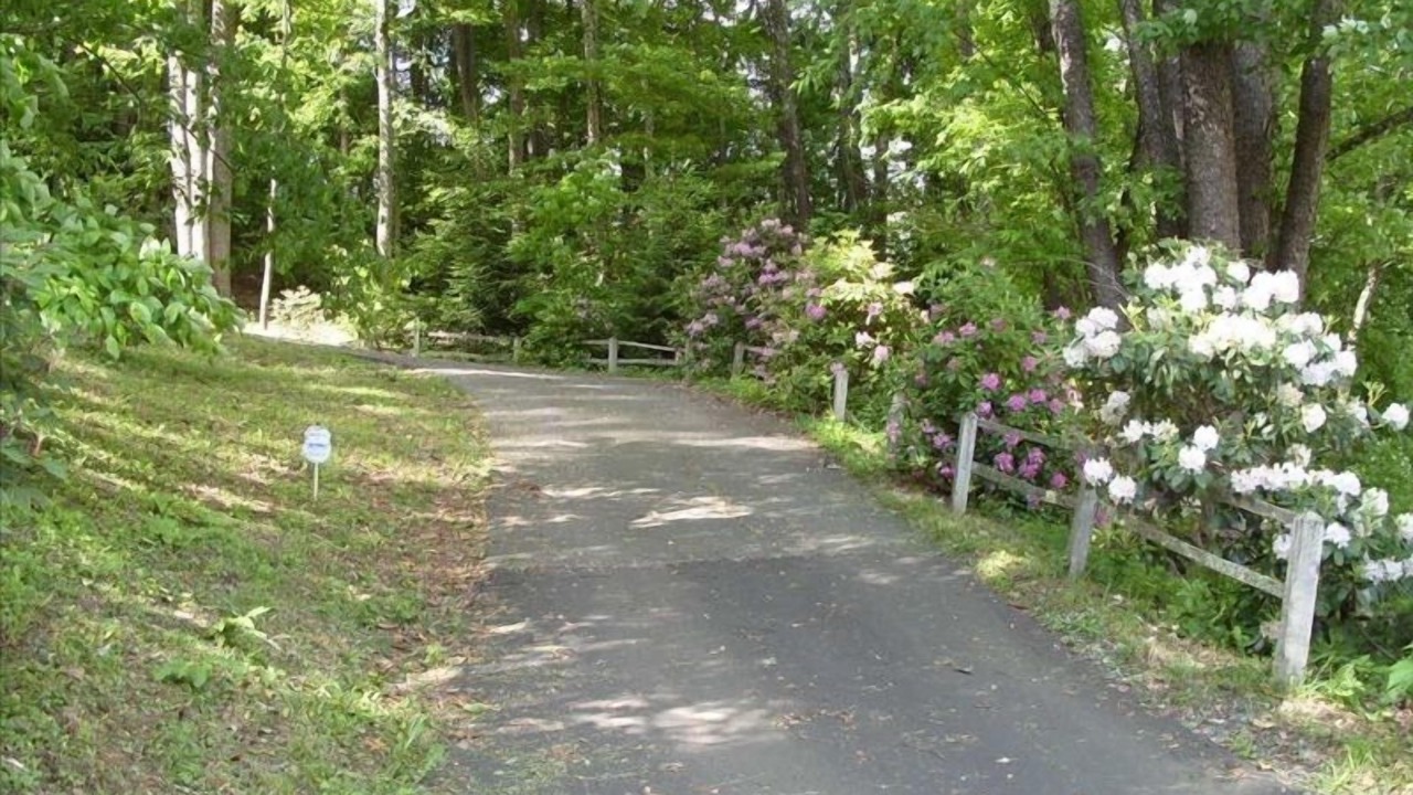 Photo of Outdoor in Waynesville