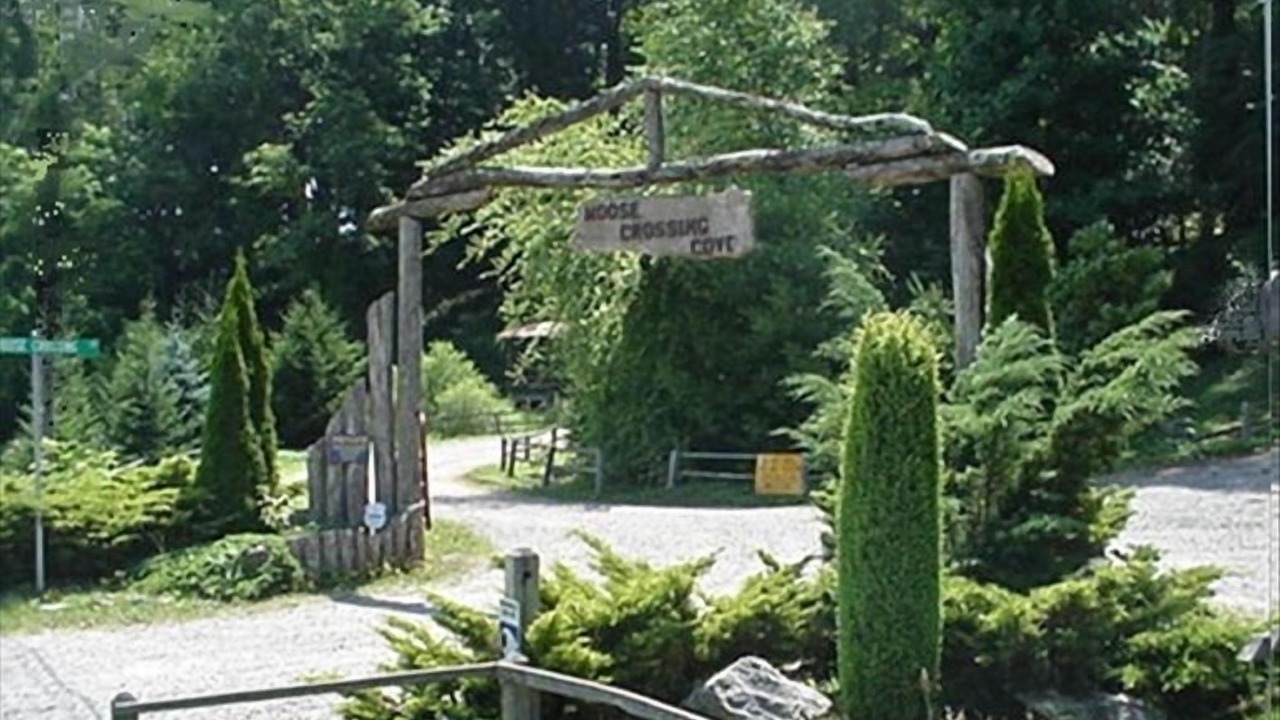Photo of Others in Waynesville