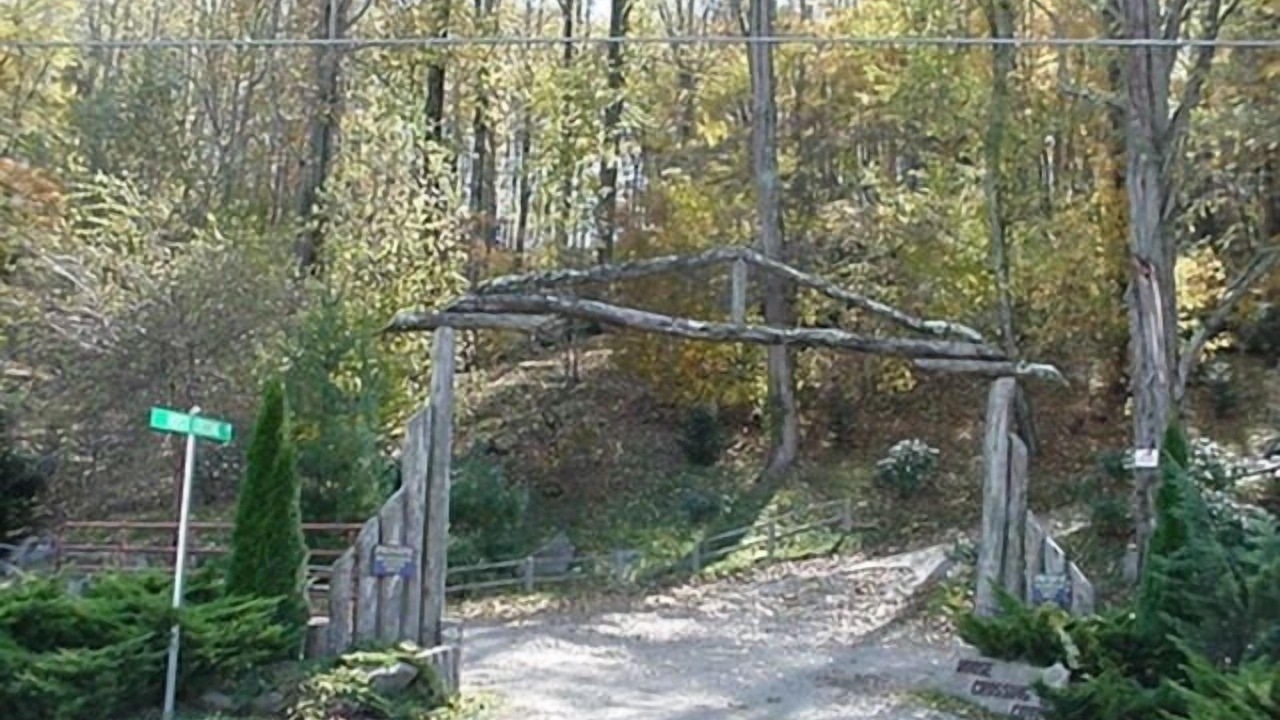 Photo of Outdoor in Waynesville