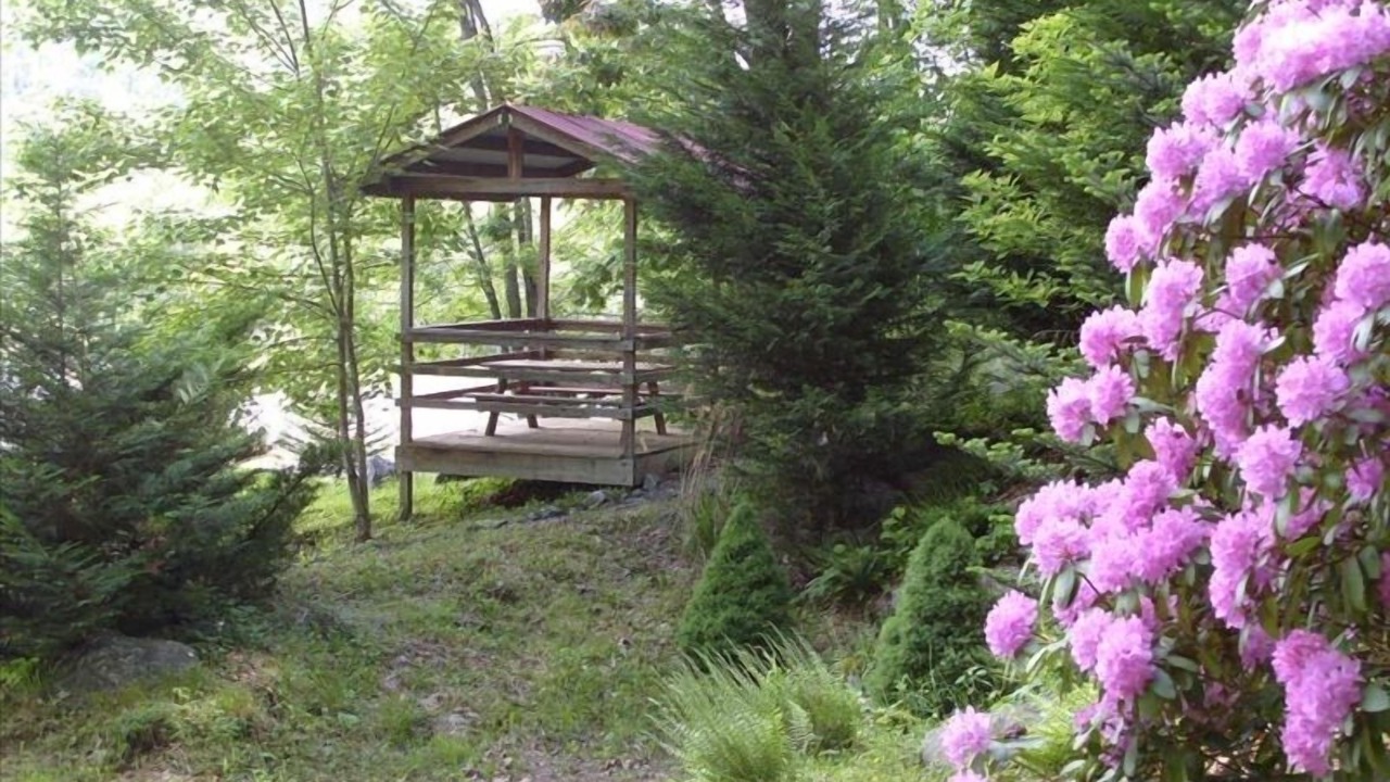 Photo of Outdoor in Waynesville