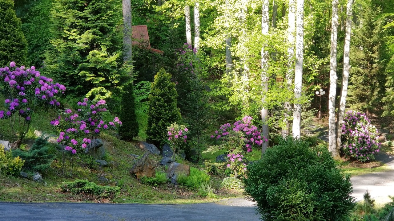 Photo of Outdoor in Waynesville