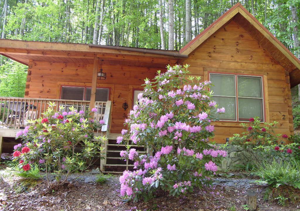 Photo of Outdoor in Waynesville