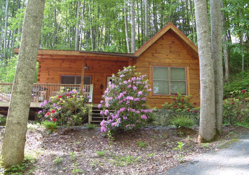 Photo of Outdoor in Waynesville