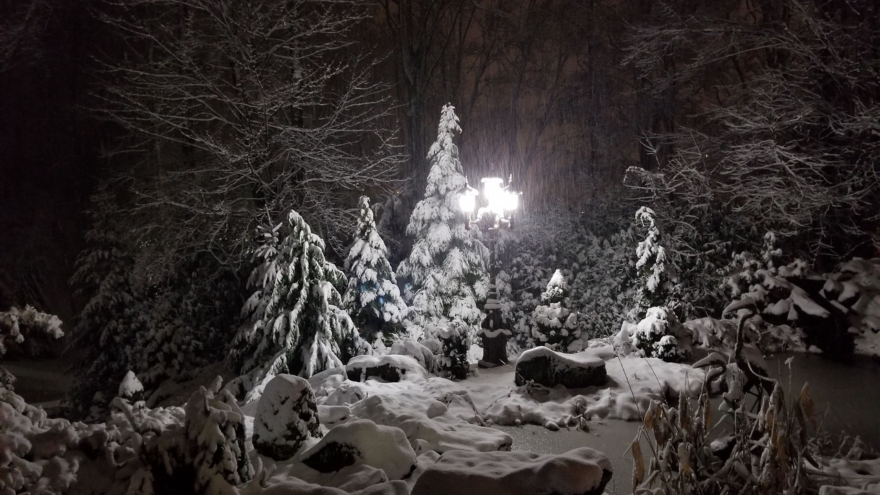Photo of Outdoor in Waynesville