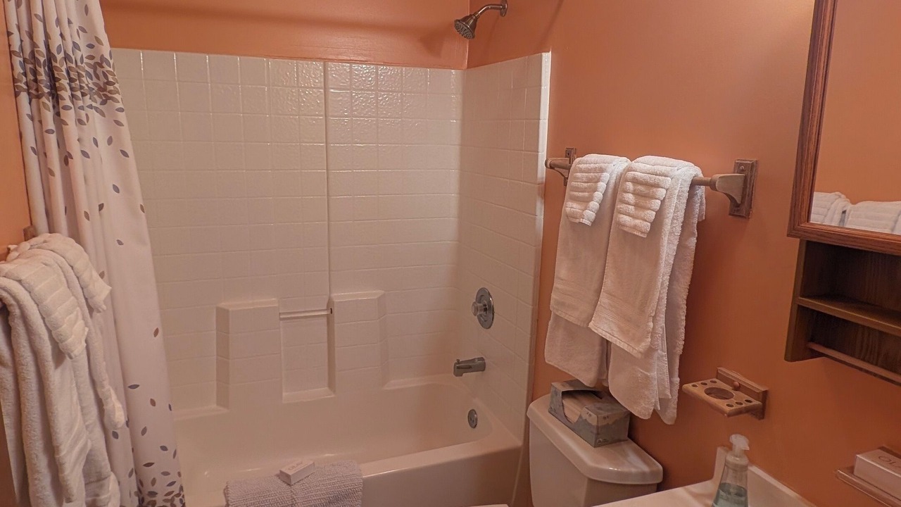 Photo of Bathroom in Waynesville