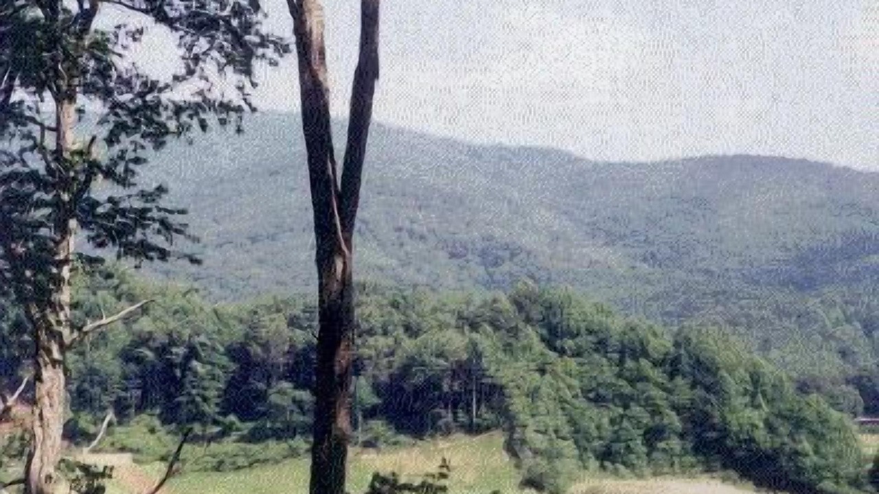 Photo of Others in Waynesville