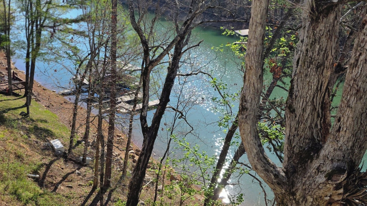 Photo of Outdoor in La Follette