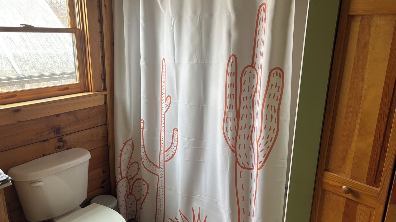 Photo of Bathroom in Vein Mountain