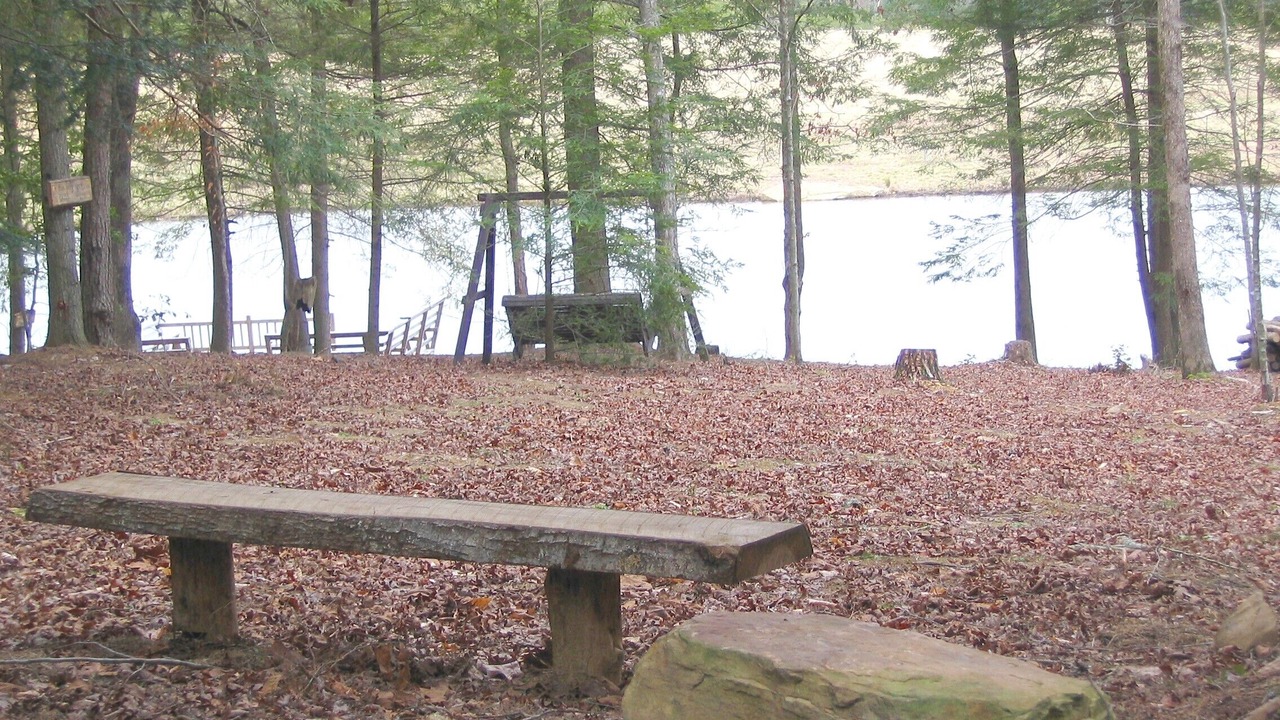 Photo of Others in Muddy Pond