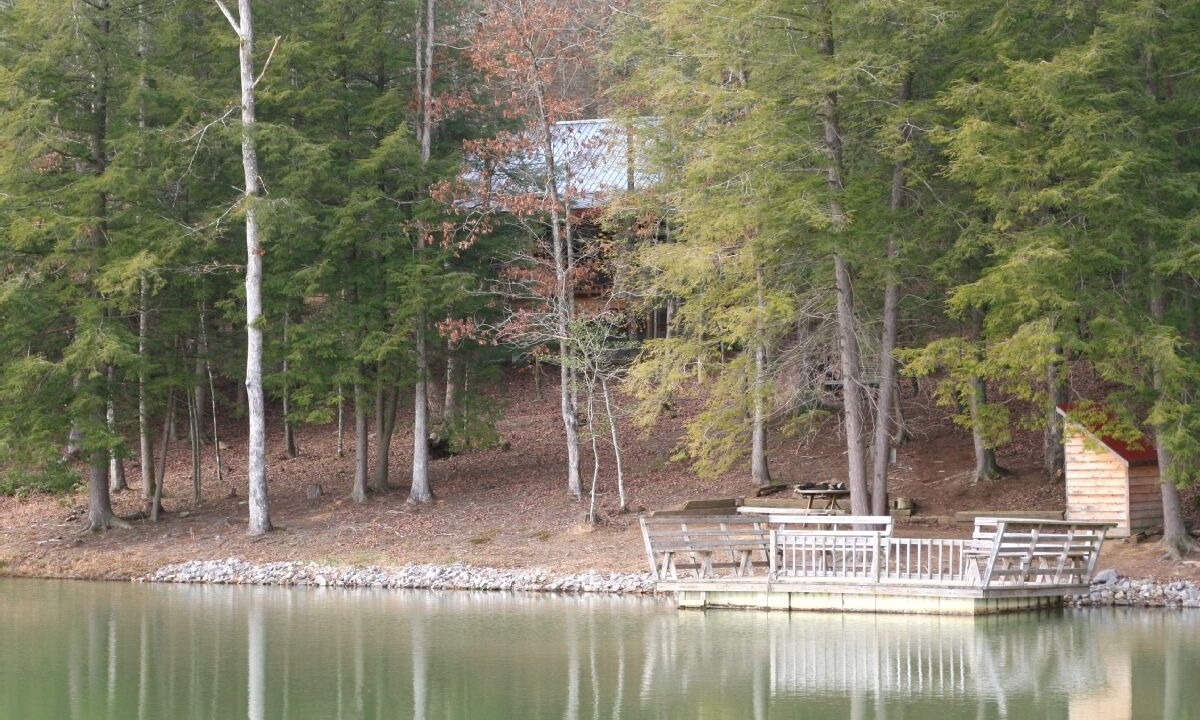 Photo of Outdoor in Muddy Pond